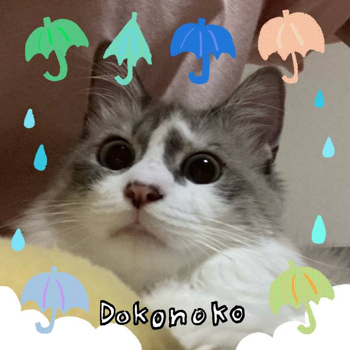 Df4e46a5 b753 4217 92ed fa98d758d0ad 1717874677766