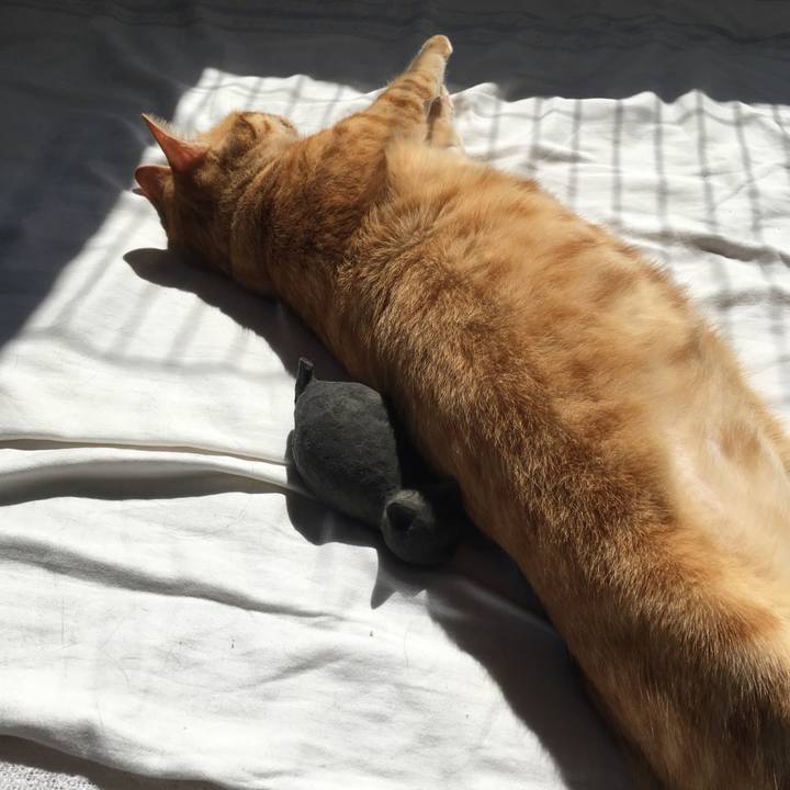 Df4e5ce3 c921 421e 9922 b219d2c36259 1562457161055