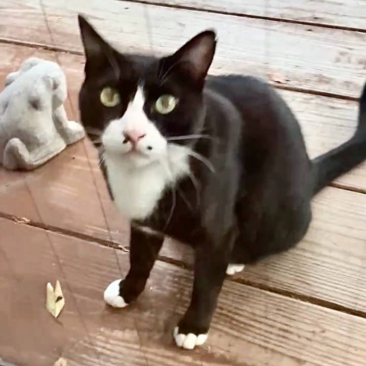 Df4e9198 6a66 496c b916 95081fdee2de 1759399496558