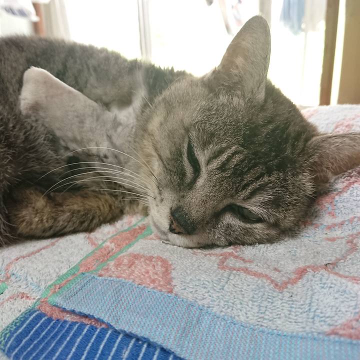 Df4eb610 641c 402d 89a8 c4c777549e46 1589698999499