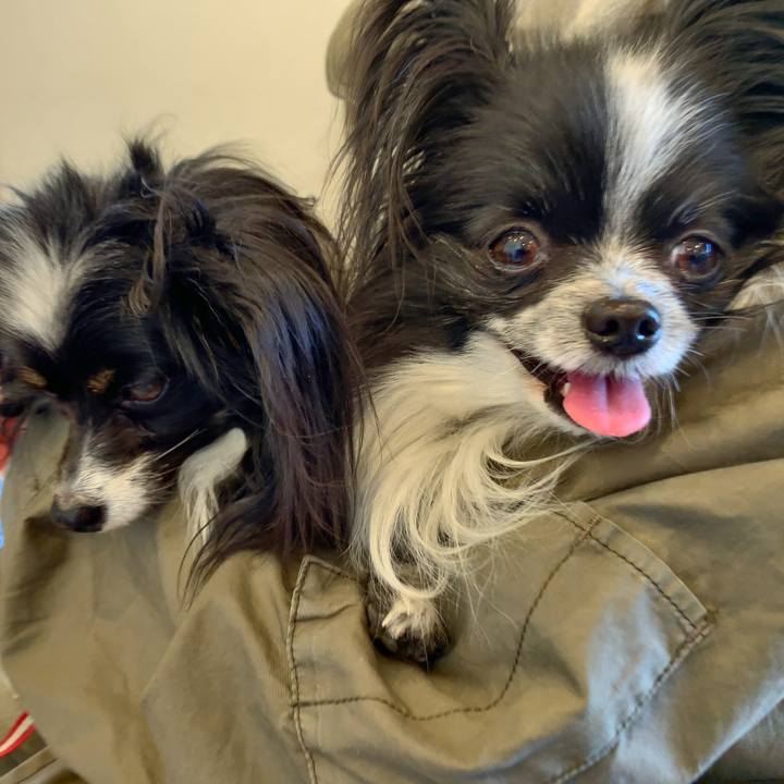 Df4ec6cb acdd 46c0 8bdb 1b554a2caa99 1552789796946