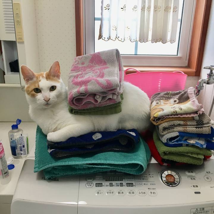 Df4ee7bb 3a9b 4d3c 92d5 bf523e5333b4 1528803647254