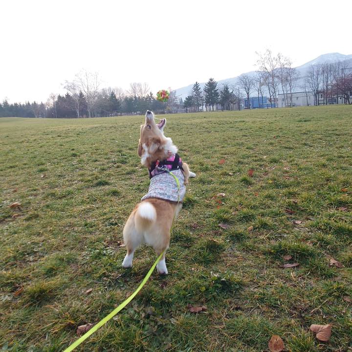 Df4f09d3 b29e 40a6 96e3 aa95aa6836c1 1763957073877