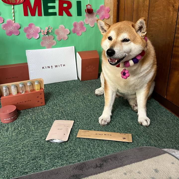 Df4f4331 28ac 48e5 bbe5 c4c8ebf18731 1649310755183