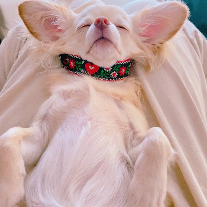 Df4f51f5 338c 4063 9675 f25f0c66f2fb 1627371316377