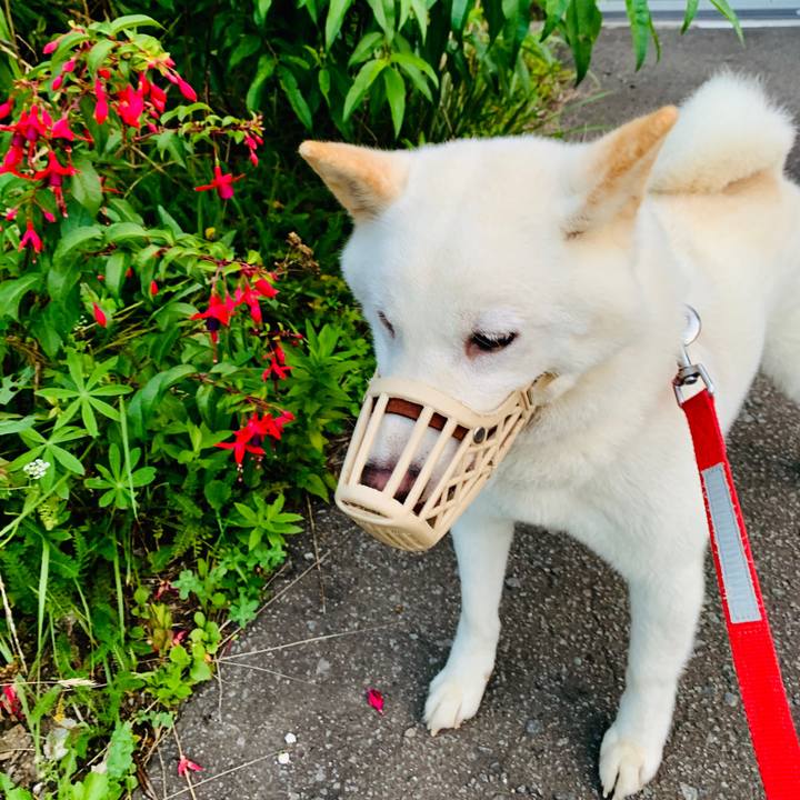 Df4f704d a0b8 4f0b 9ced 2388c373261e 1567720357707