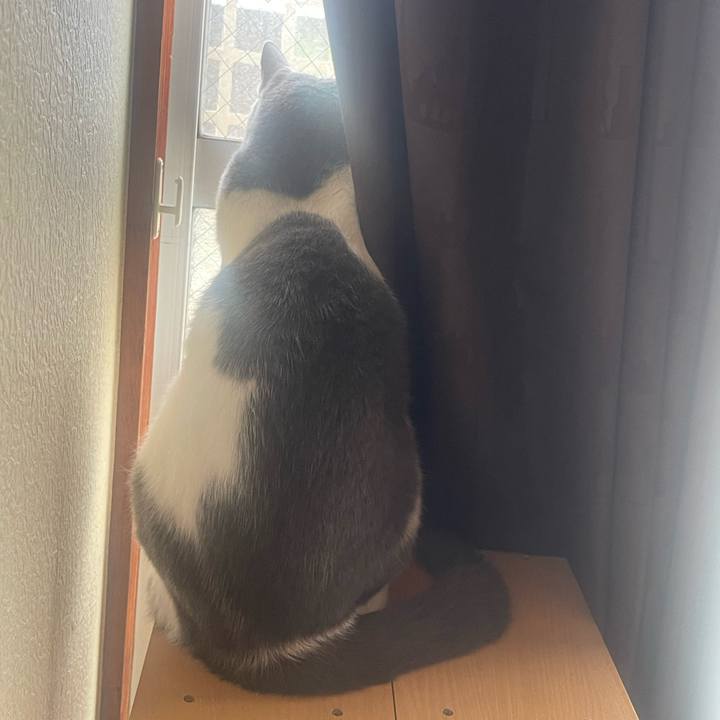 Df4fbb5d 92df 4f88 9e7e 29ba327a3147 1697066443717