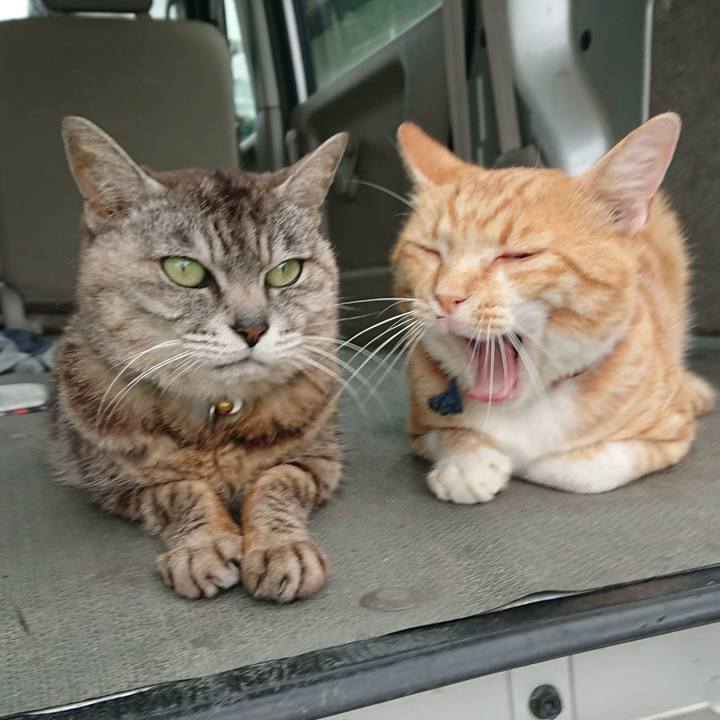 Df4fc69e c12a 4cd6 909c f623cb1d3992 1563089333749