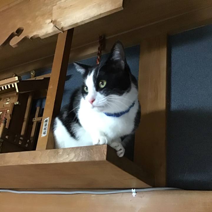 Df4fe20f 51f3 4cf1 a4b8 8b5f6b1771c8 1703845638581