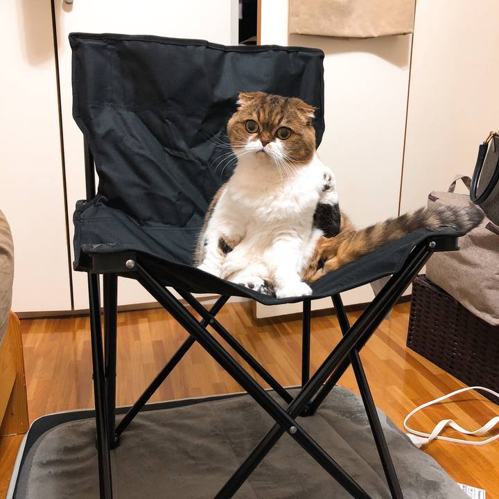 Df500f2b 81f3 4a31 a692 c2fb3d0b3a1f 1544430165723