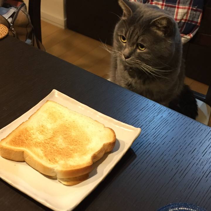 Df5010a6 78b8 4c90 93ce 0cf3ff66a24a 1516056188421