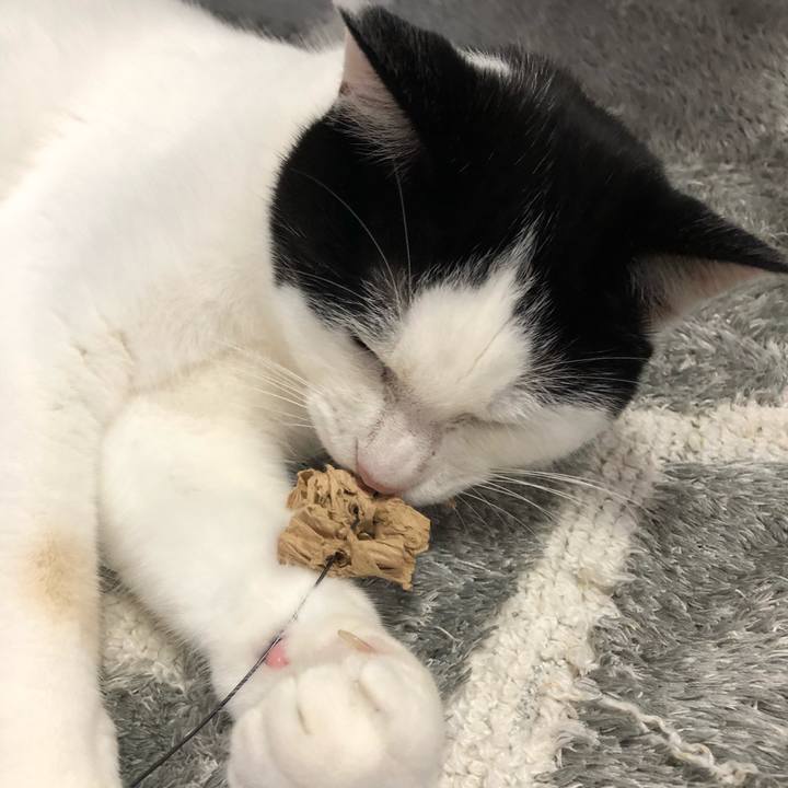 Df504bb6 fcbc 4d1a 9cab b237eef5916f 1561711463614