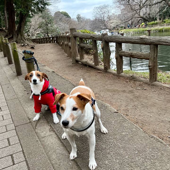 Df506846 4de8 479f 8ee7 1f96e20c3e56 1678012864692