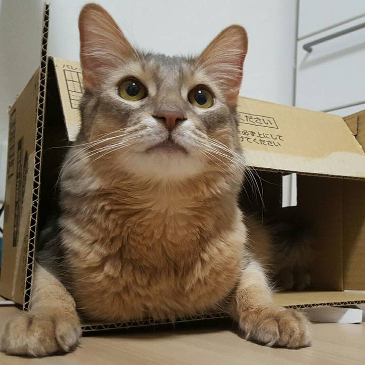 Df506a9f 57c3 4142 a47f 021564808b92 1548156387245