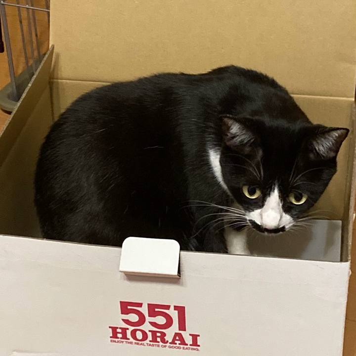 Df507488 1234 4b1b 9774 b61e433cb959 1724327062381