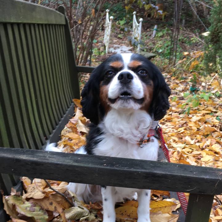 Df50a178 82a3 425a a8cf 189e6e4a3ed6 1509249161734