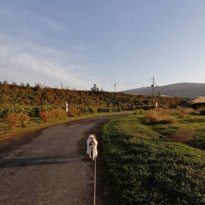 Df50ad35 25ff 411a b172 b811d7ee6111 1574121483882