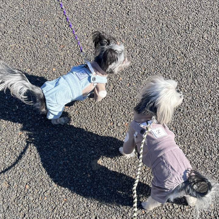 Df50c7dd c049 4cc3 8cb0 c6671c27971f 1765099501605