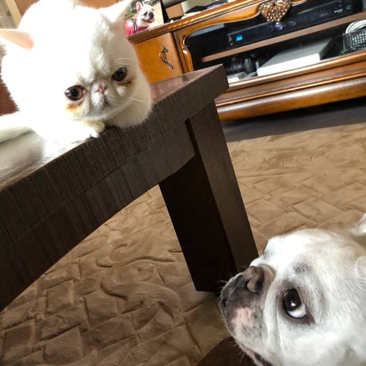 Df50f685 0809 41a7 a41b dfdca18524dd 1551437874304