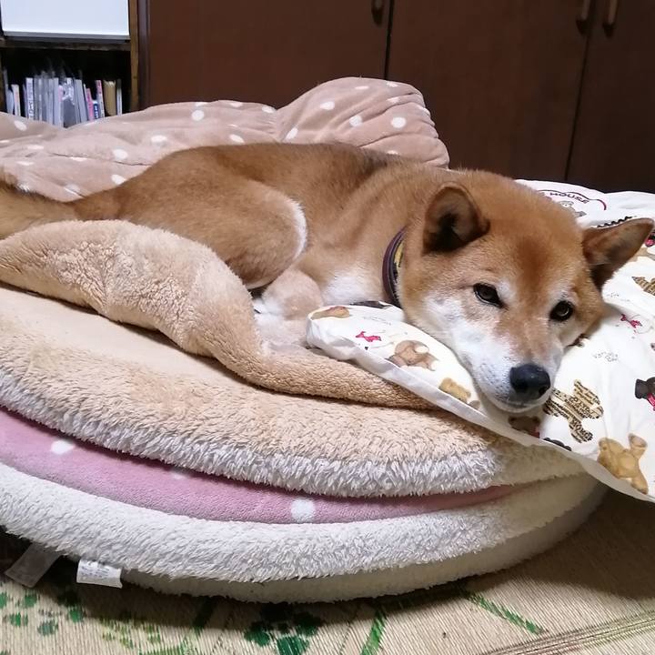 Df514b45 feba 486c b1b3 b10185d309aa 1622210212763