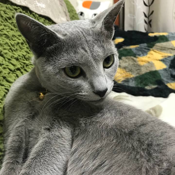 Df515473 bf19 4e92 a935 3017b9b35a7d 1521498295757