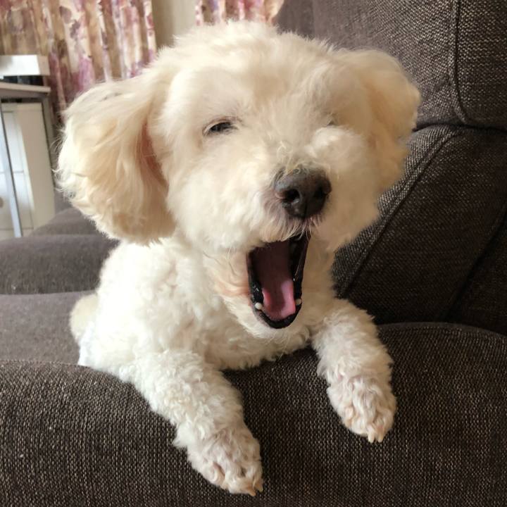 Df516487 e913 4f25 94d9 a3bbc81bffad 1538865468406