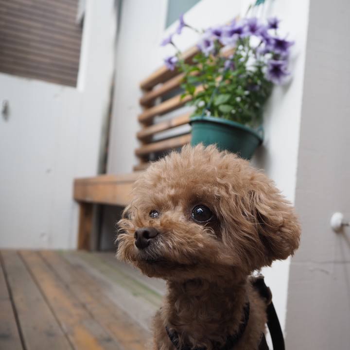 Df516bf0 60ec 4940 a246 8f8a761fdaa0 1526183133886