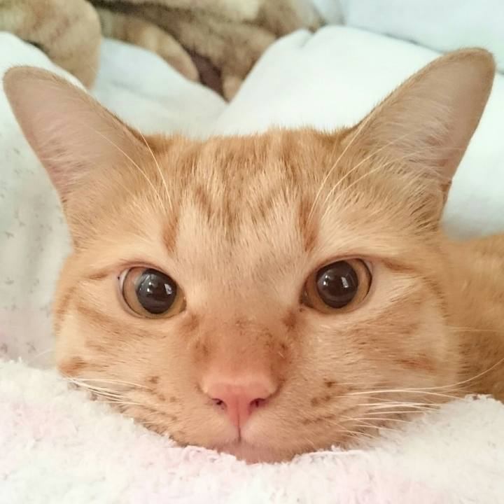 Df517926 1b22 4ec0 b8a3 5c9142e1be53 1570593916171