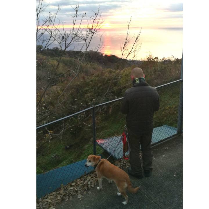 Df517b2e 86e3 4e21 b54e 7cd8fbcdfb81 1546298482661