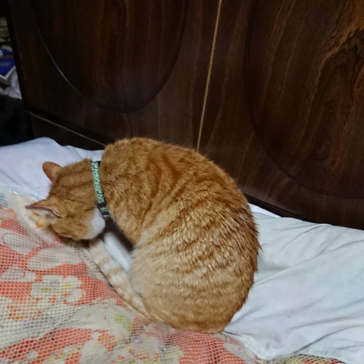 Df51b908 42ba 425c aeca ff2ffbec8f23 1584880339074