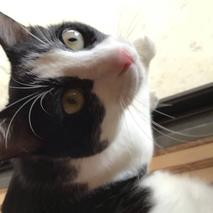 Df51c0e7 9833 49f1 9350 56598cac63c8 1692447974524