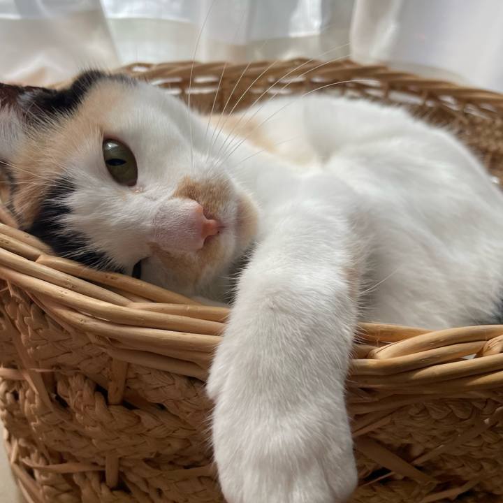 Df51c6ef 24e0 4107 8707 a0eb8dc89551 1715903791020