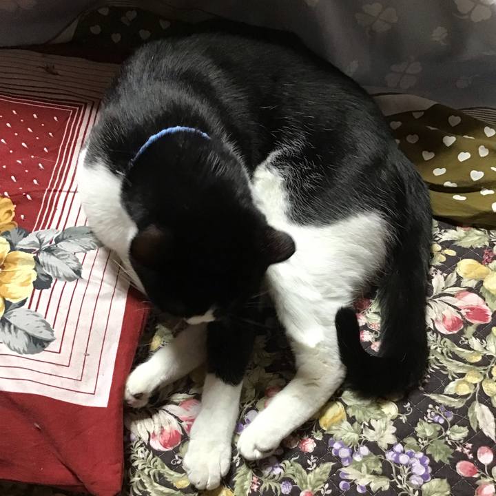 Df51cc14 8d97 40a8 9246 8fa0ff36e27d 1678787900667