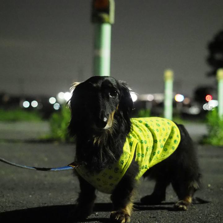 Df51d807 0c22 4c5f b3f4 f648312ef27c 1596116446279