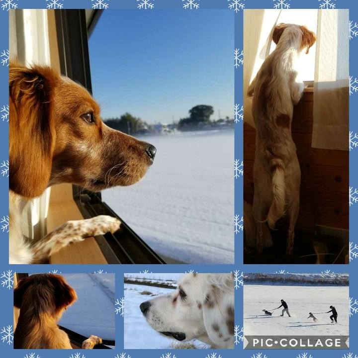 Df52018b 2a17 4acb 8143 3f2467df76c9 1516784678068