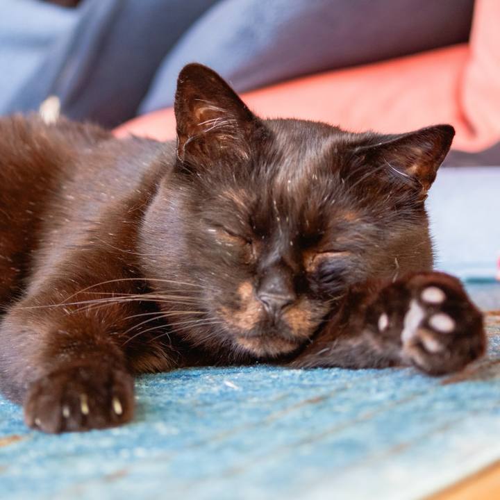 Df520ad6 6d18 4726 969c d03815bd6e2c 1771475238372