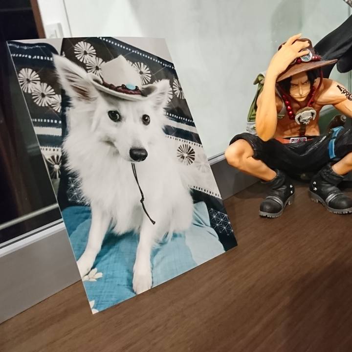 Df520bb3 5ea7 4c2f 999a fe2f5901e7f5 1525704130223