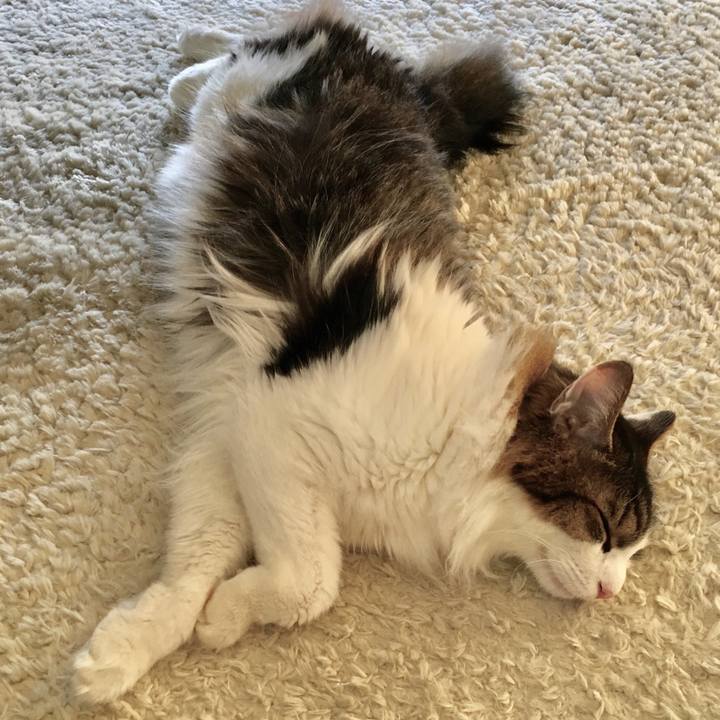 Df52132c 2935 4598 a90f 8a0181e80b98 1515206662186