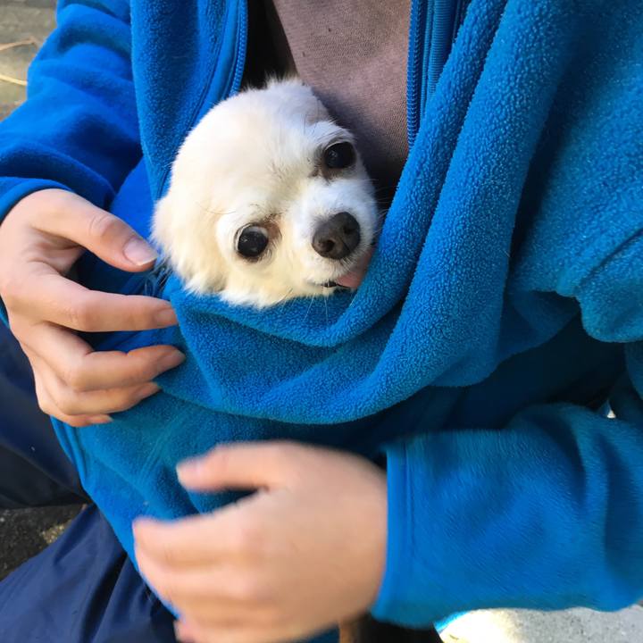 Df528456 fea1 489b 8cb9 52ce90c7ca5e 1511257813651