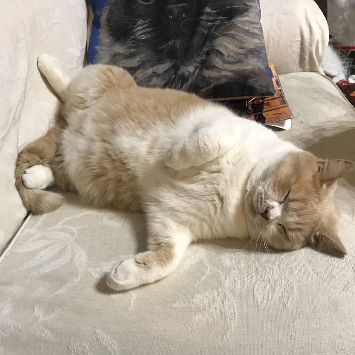 Df5288d6 ab85 4aed 8f1a a7332440dfe2 1508154821902