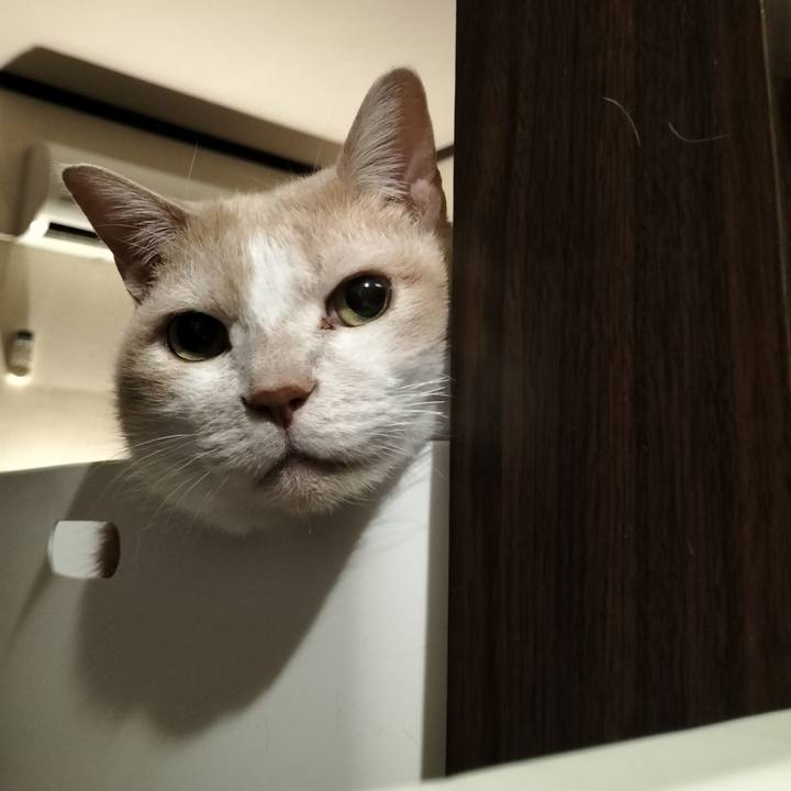 Df52b3de 605c 46f2 8aae a2a15a5caf9b 1643974711708