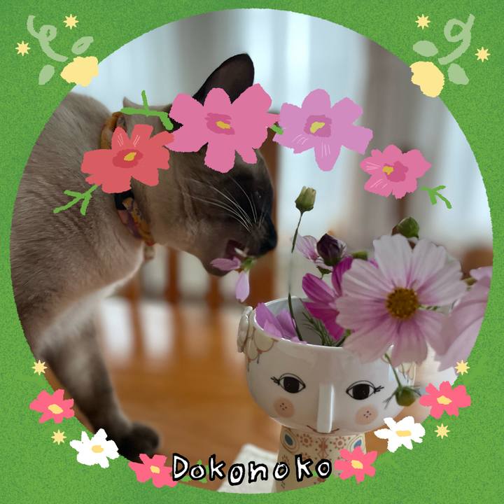 Df52eba9 df8d 4b14 ad40 bc9b81b8fdea 1726953919459