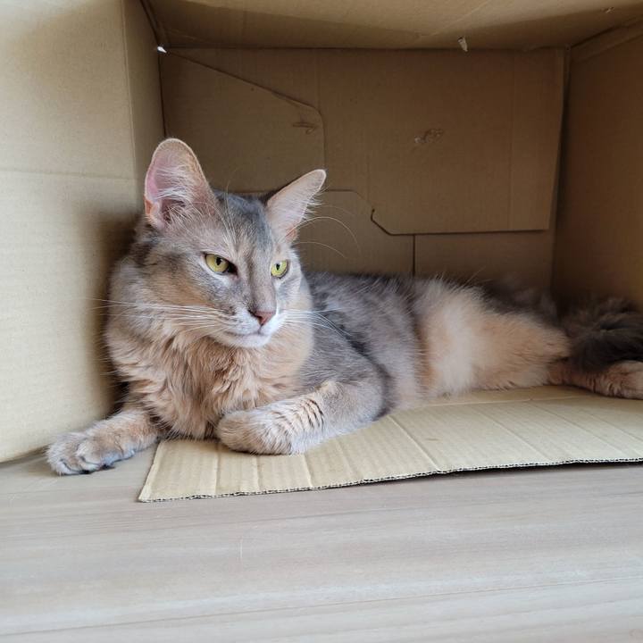 Df530794 a25e 47ef a855 72baafb5d0cd 1628329460359