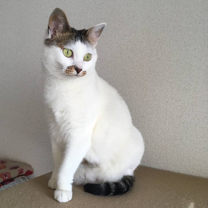 Df5311cc dd57 4a14 a662 bfeafedb191c 1550902271757