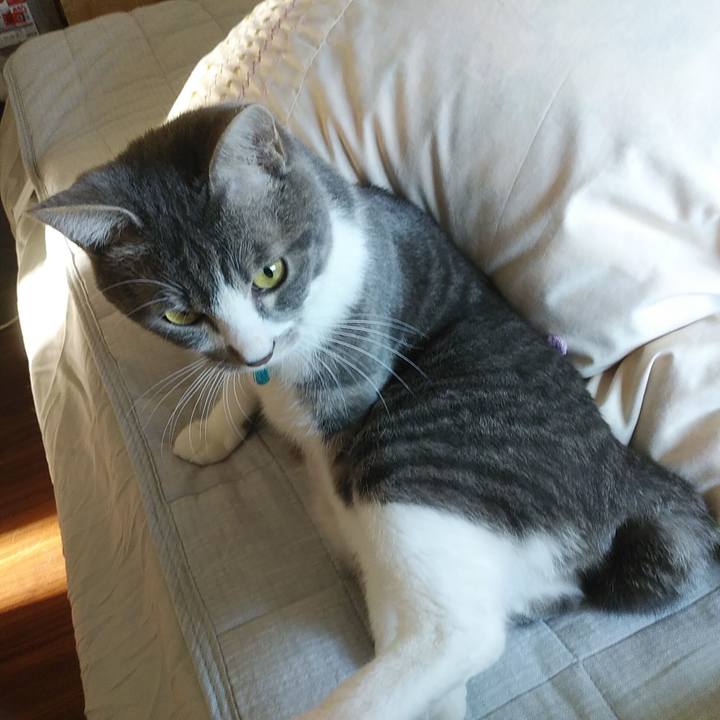 Df5324da eb69 4c08 a33e dc5cc742b062 1585954124841