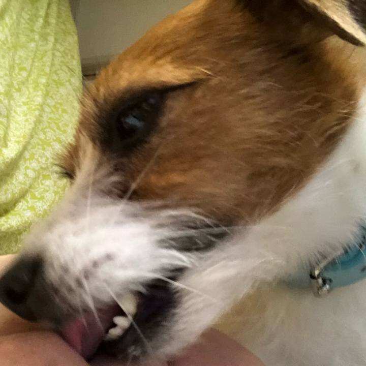 Df537286 84c9 4bdd 9548 c0a1158d859d 1521204688801