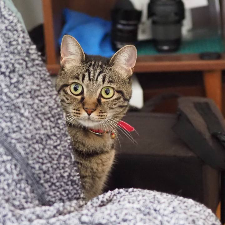 Df5380b7 8ea8 40ae ada5 7d4ad81a6b92 1599285087679