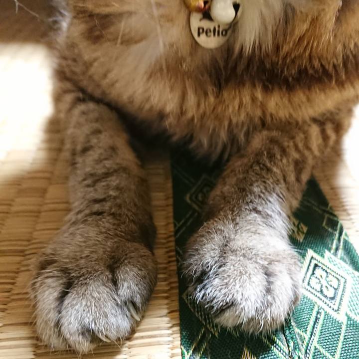 Df540218 f480 4667 8472 e65e0c302010 1566469576295