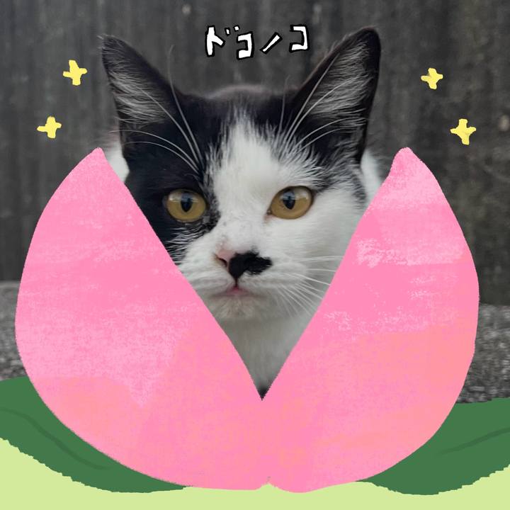 Df543b64 58d8 4be7 bcfe 09293fa9a246 1771827289757