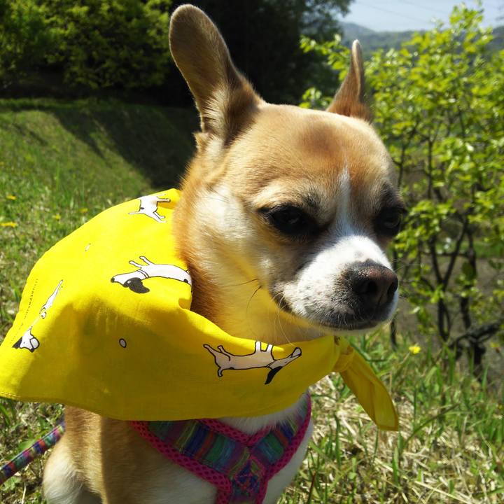 Df545b44 725d 4c95 82b2 1bd79d9897ec 1524363103942